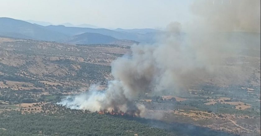 Manisa'da 2 orman yangını kontrol altına alındı