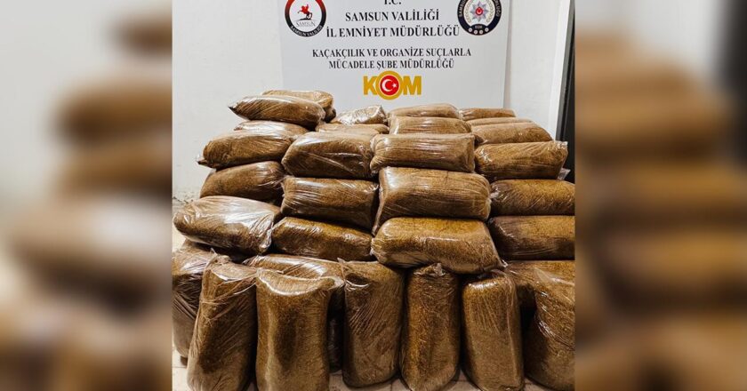 Samsun’da bir minibüste 475 kilo kaçak tütün bulundu