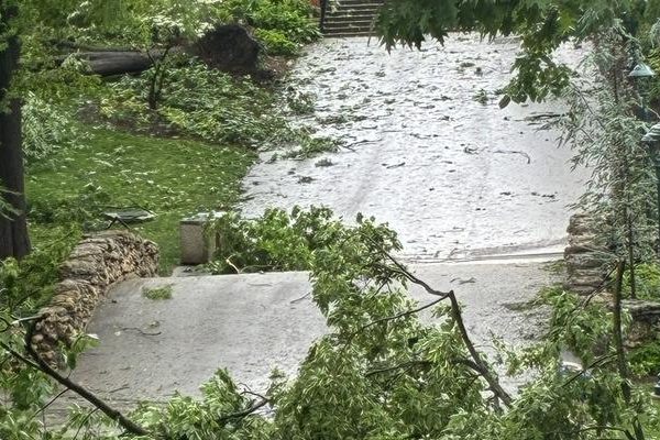 Amerika Birleşik Devletleri’nde fırtına: 5 kişi hayatını kaybetti