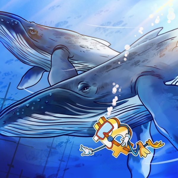 14 yaşındaki uykusu tarafından uyandı bitcoin balinası BTC’yi 4.7 milyar dolarlık aktardı