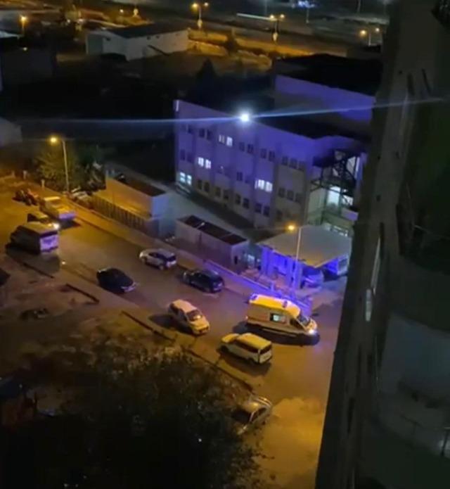 Siirt'te otomobil ile at çarpıştı: 1 yaralı, 2 yaralı