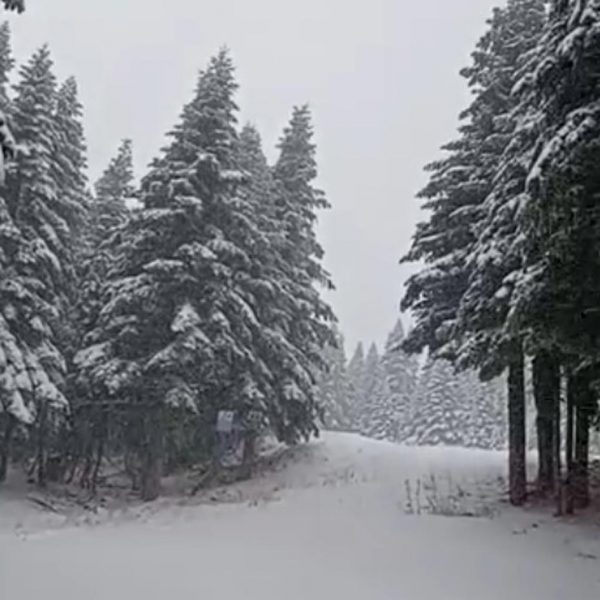 Uludağ’da kar kalınlığı 5 cm’ye yükseldi!