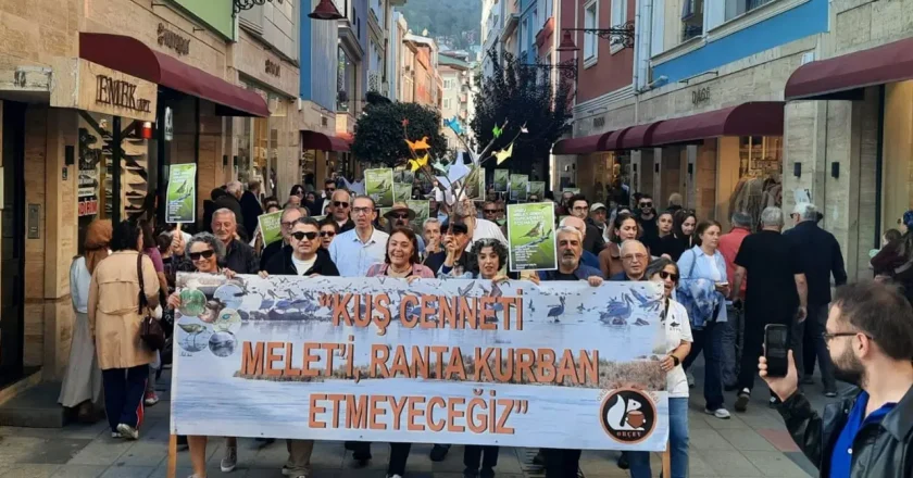 Ordu’da Betonlaşmaya Karşı Nöbet Devam Ediyor